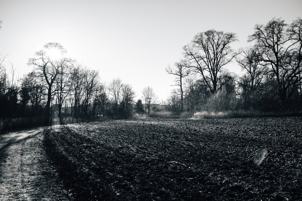 20161229-_DSC4784-DSC-RX1.jpg