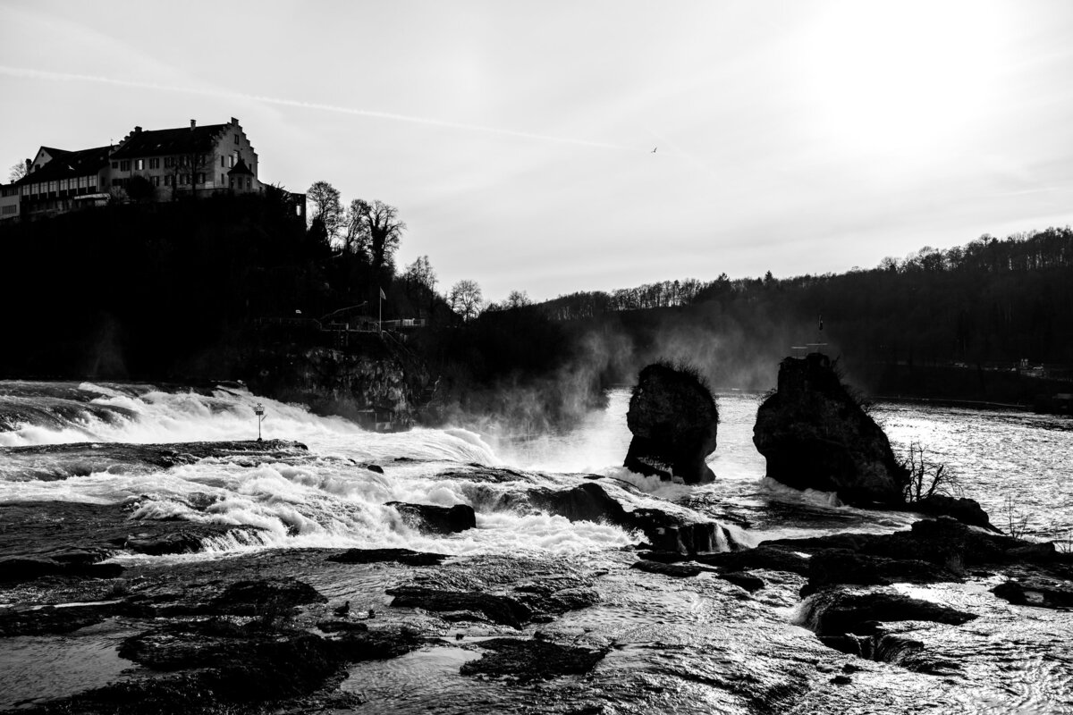 20180305-_DSC5481-DSC-RX1.jpg