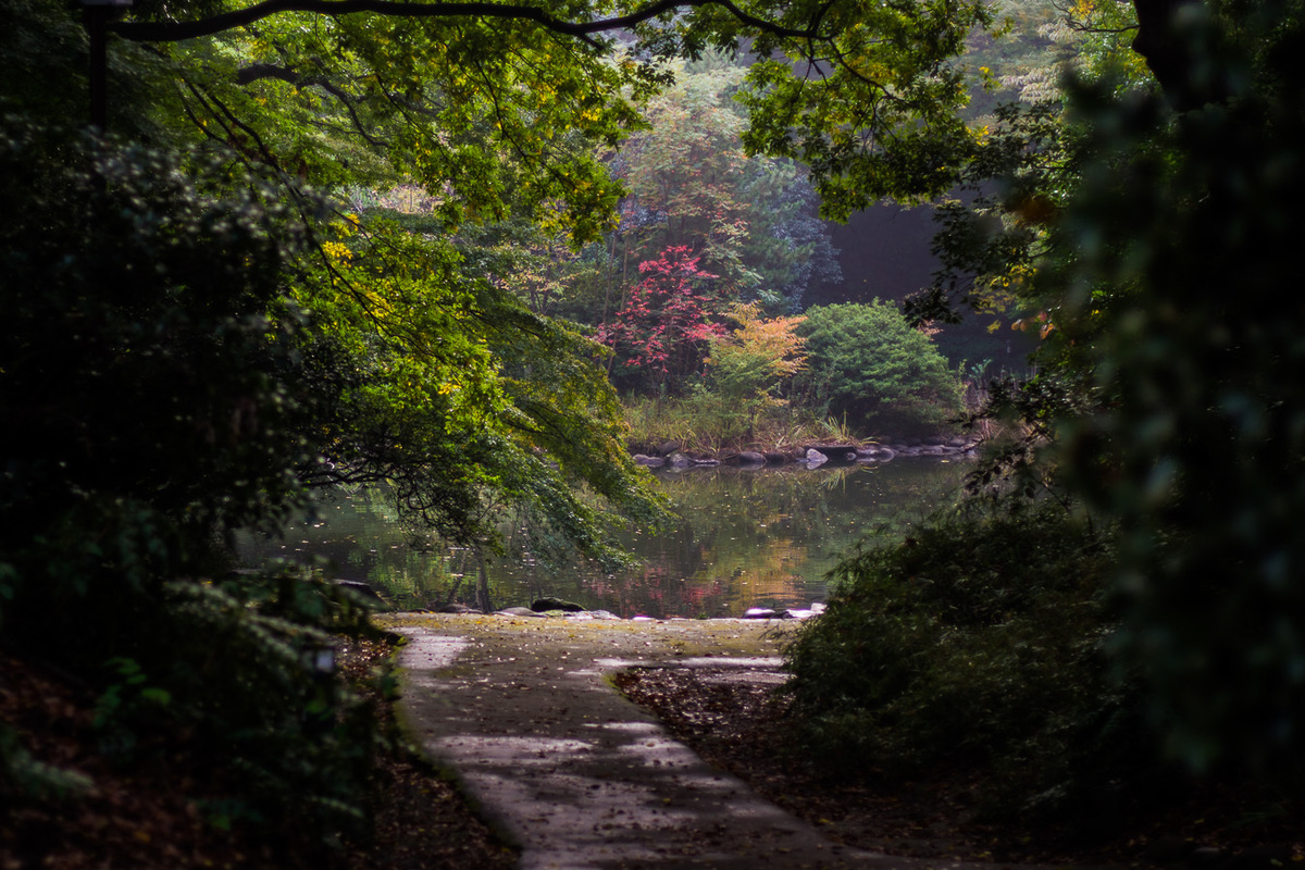 20131107-untitled-07925.jpg