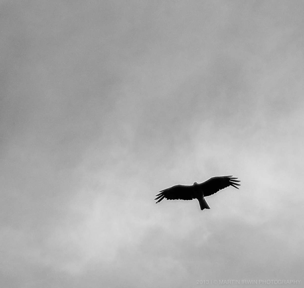 20130719-DSC06494.jpg