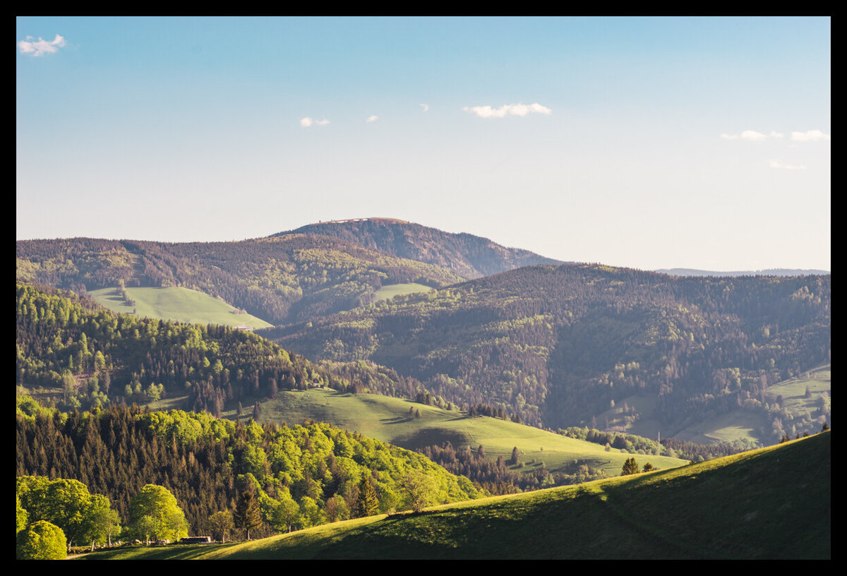 20210531-DSC06398-ILCE-7R.jpg