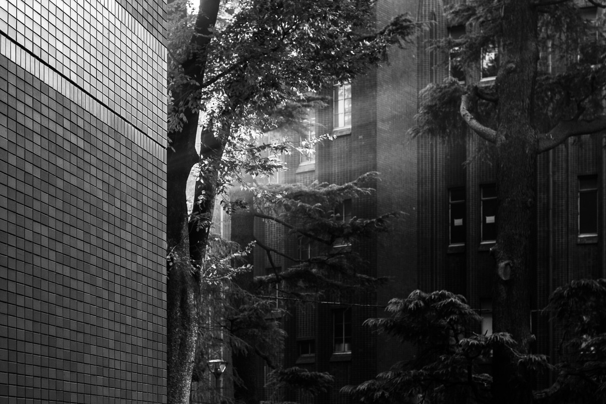 20131107-untitled-07924.jpg