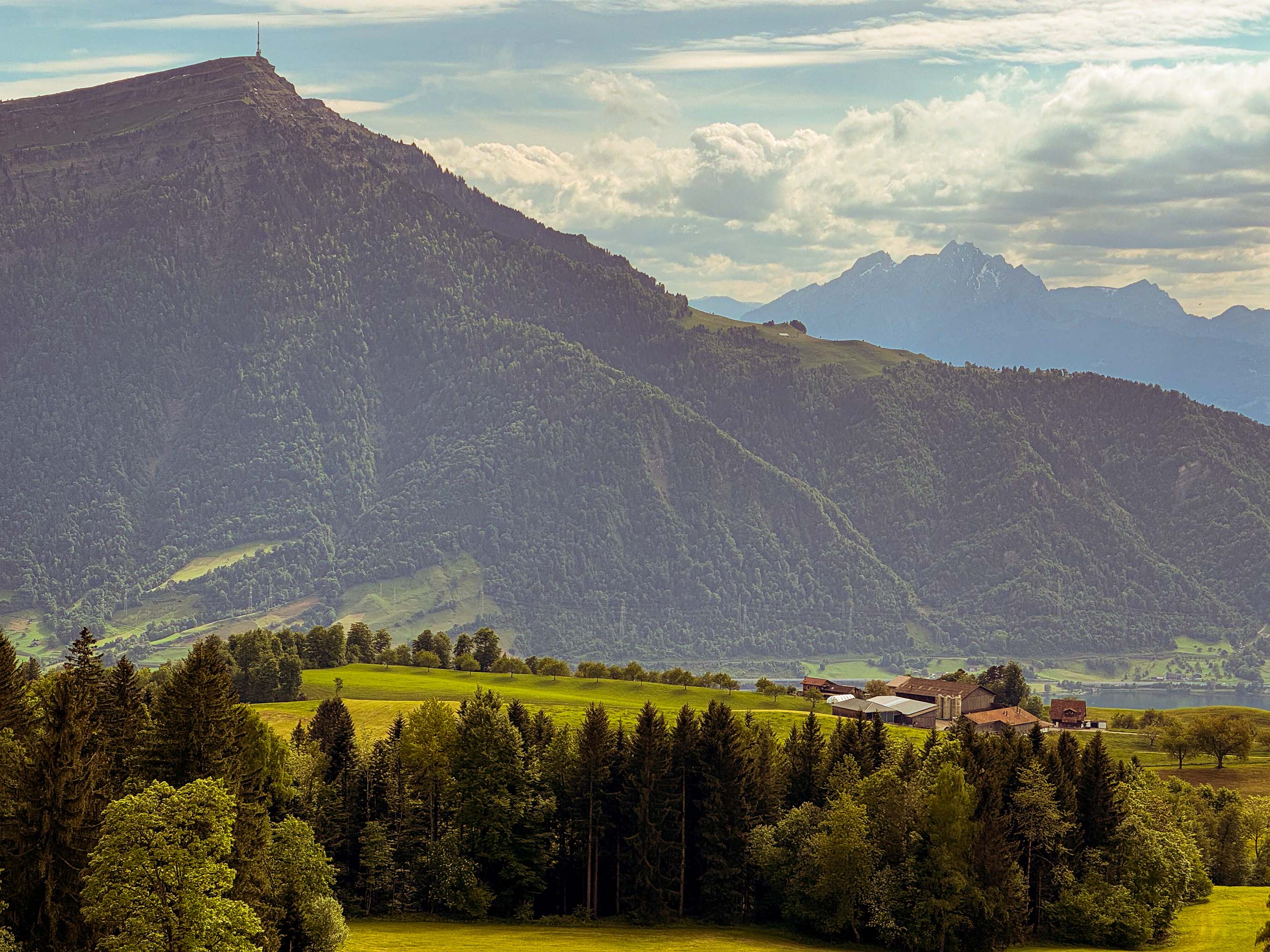 Rigiblick