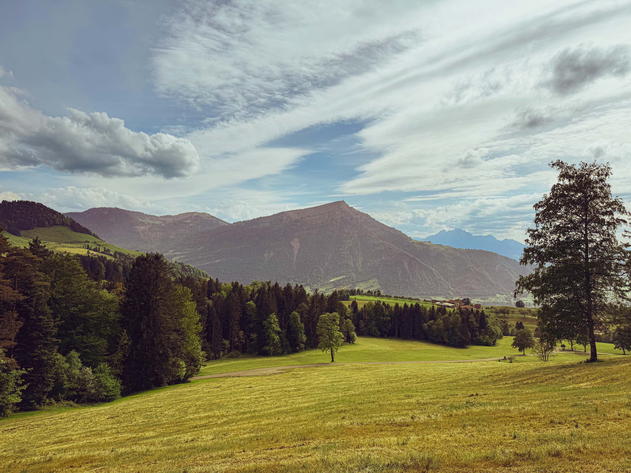 Mt. Rigi