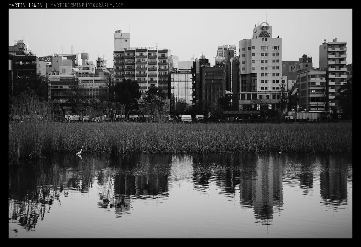 Ueno skyline