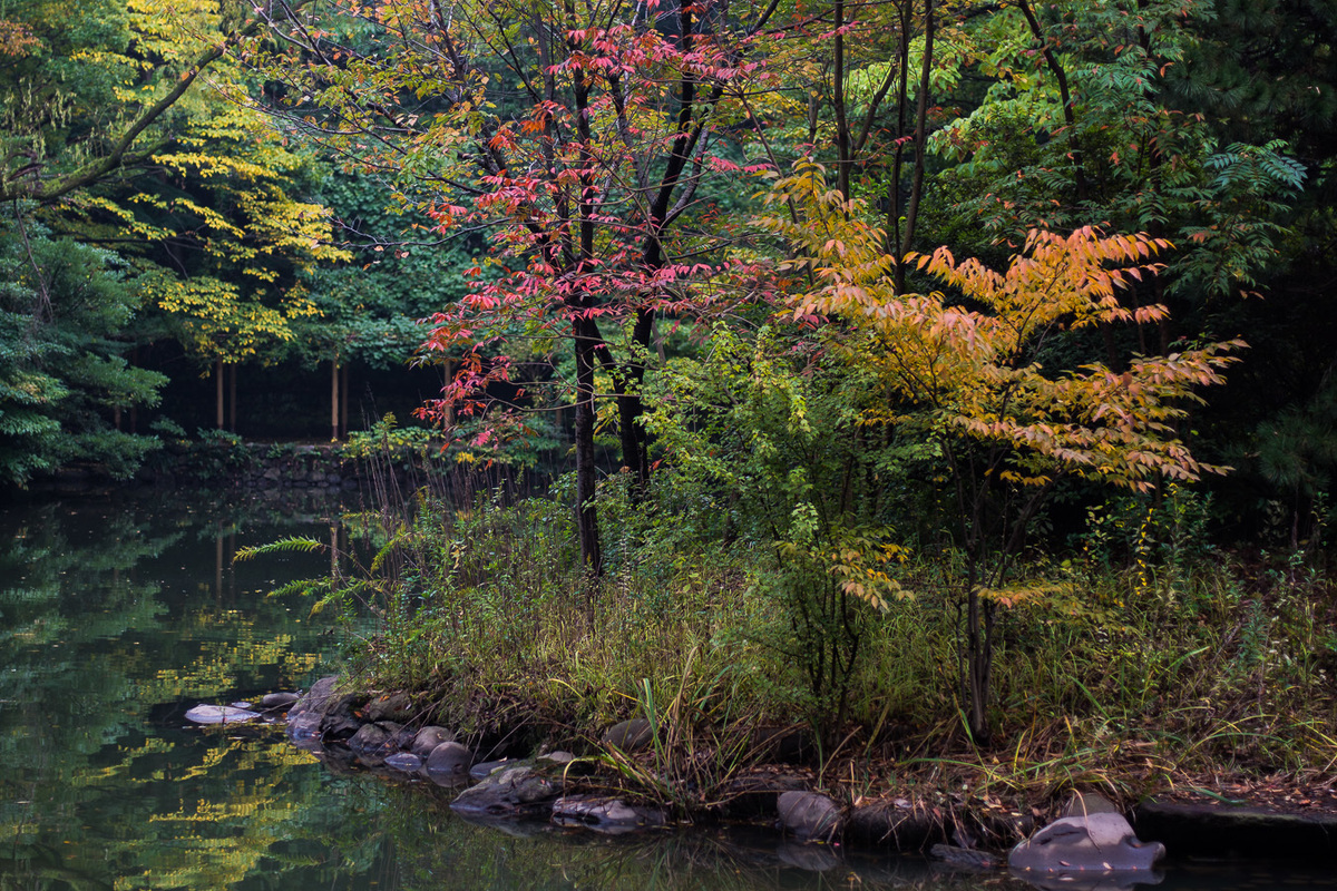 20131107-untitled-07931.jpg