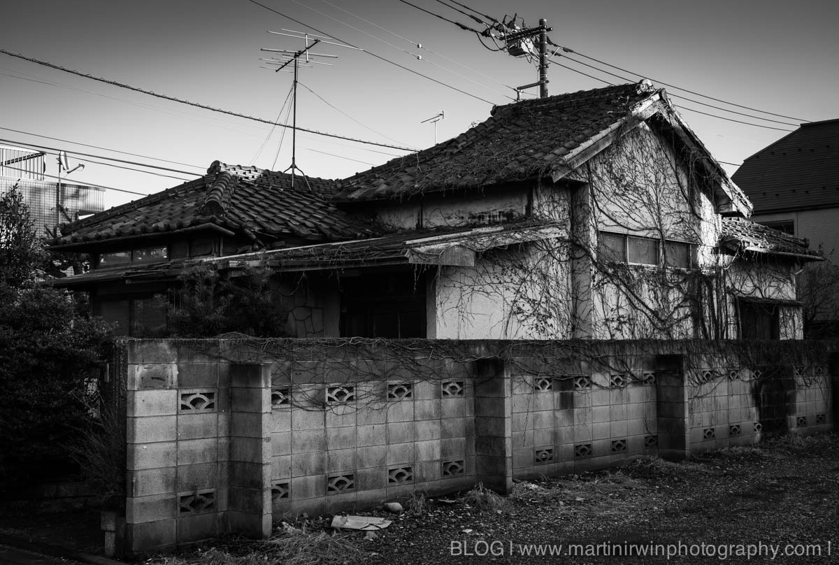 DSC02110.jpg