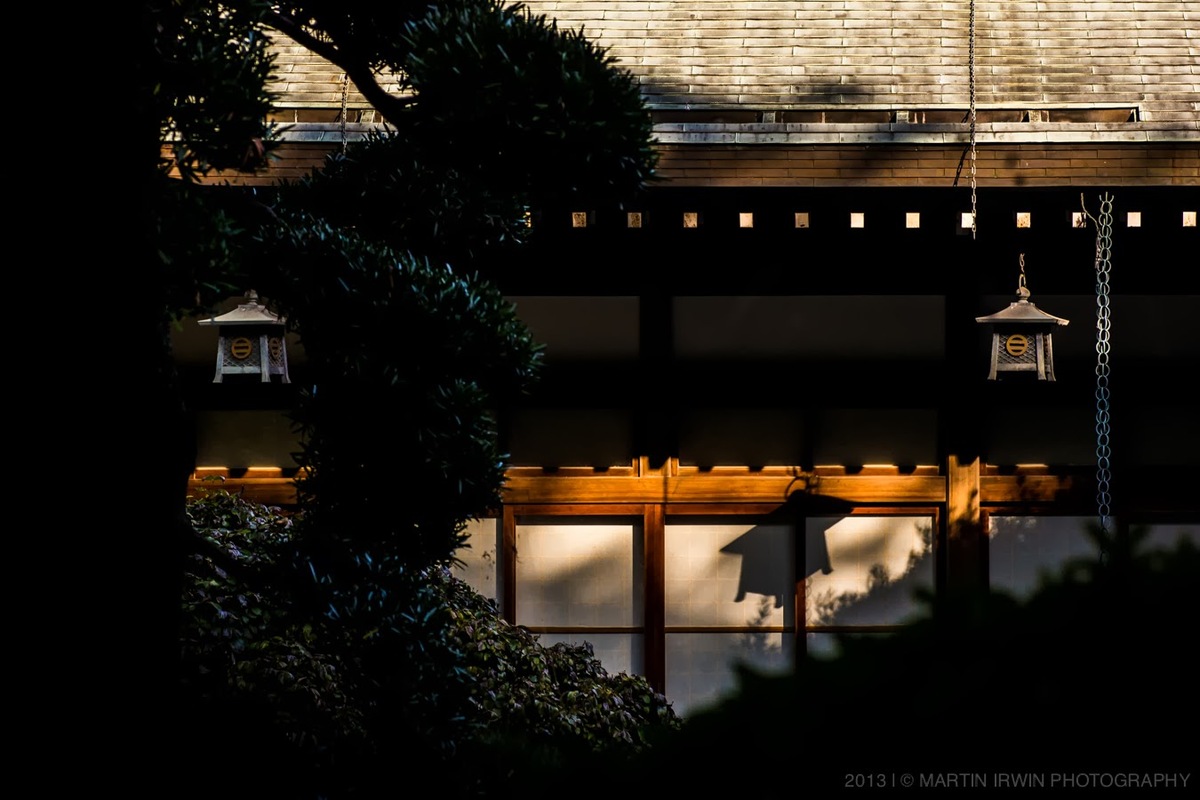20131013-DSC07758.jpg